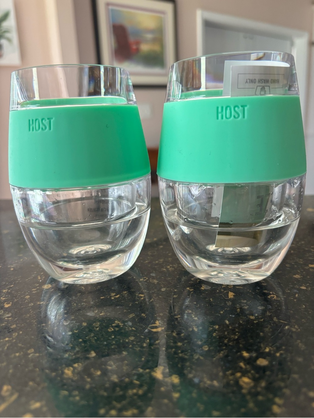 Host Stackable Double-Walled Tumblers with Mint Silicone Grip - Set of 2